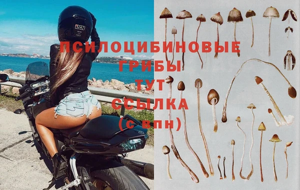 меф Ростов