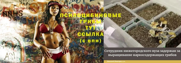 MESCALINE Рославль