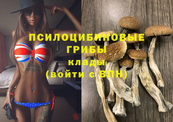 бутират Россошь