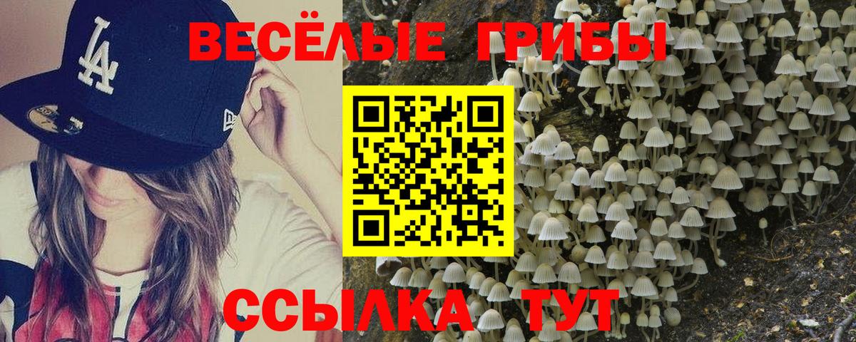Зерноград  Галлюциногенные грибы ЛСД  Вход с VPN 