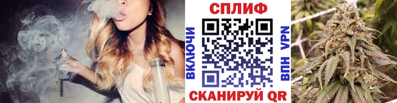 купить наркоту  Зерноград  Шишки марихуана планчик 